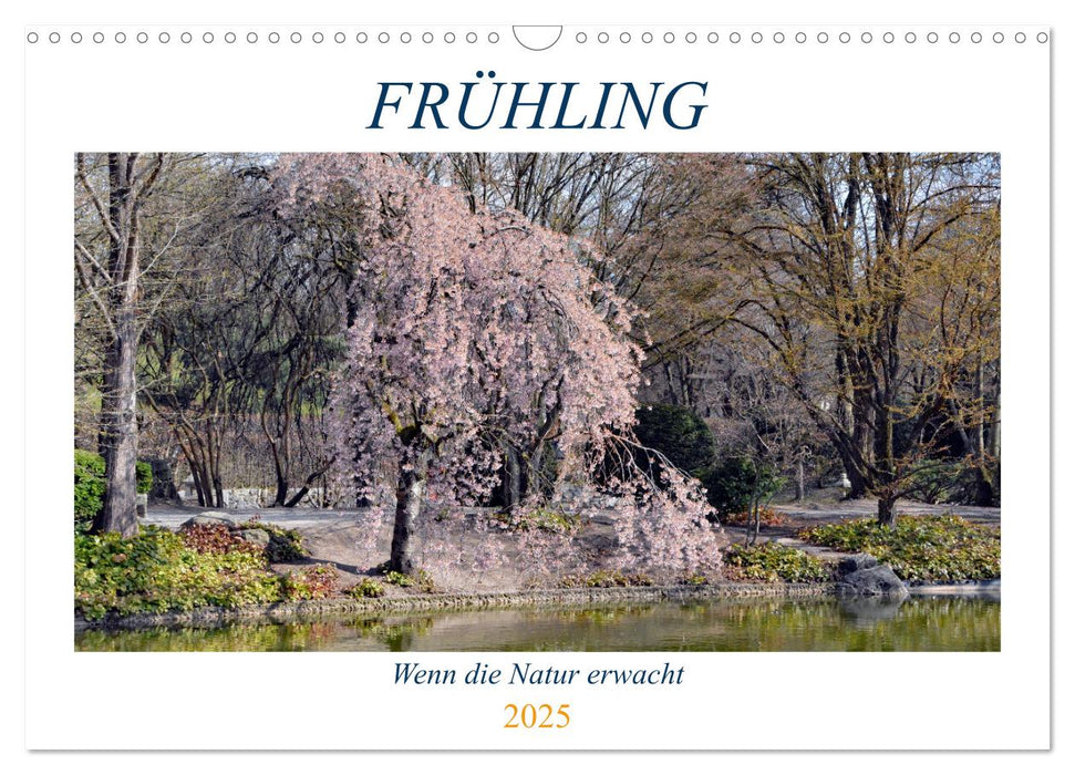 Frühling - Wenn die Natur erwacht (CALVENDO Wandkalender 2025)