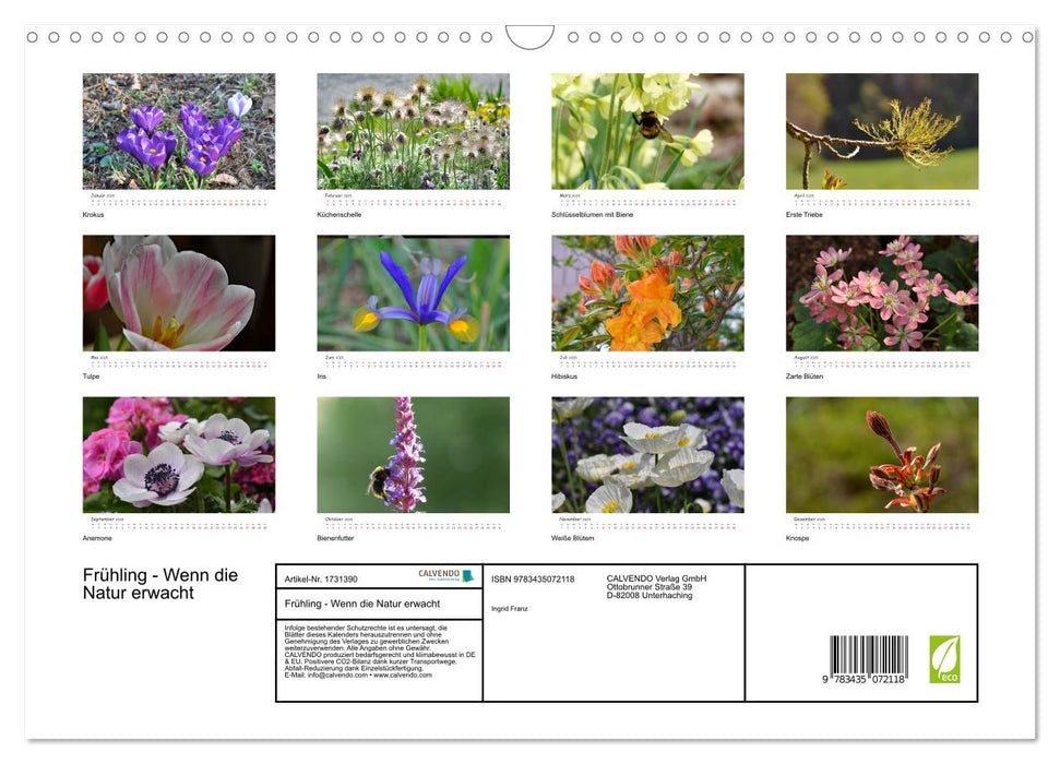 Frühling - Wenn die Natur erwacht (CALVENDO Wandkalender 2025)