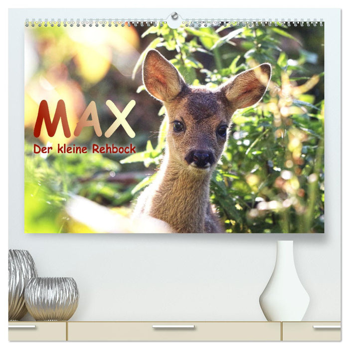 Max, der kleine Rehbock (CALVENDO Premium Wandkalender 2025)