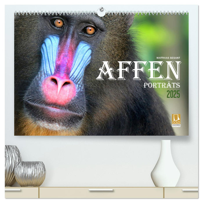 AFFENPORTRÄTS (CALVENDO Premium Wandkalender 2025)