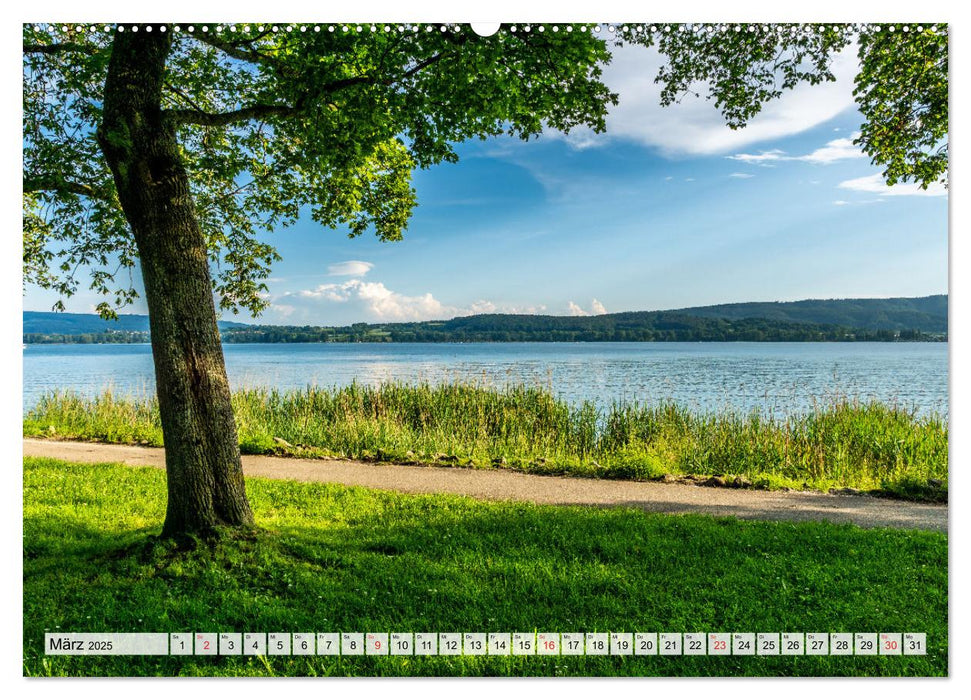 Heimatliebe Bodensee (CALVENDO Premium Wandkalender 2025)