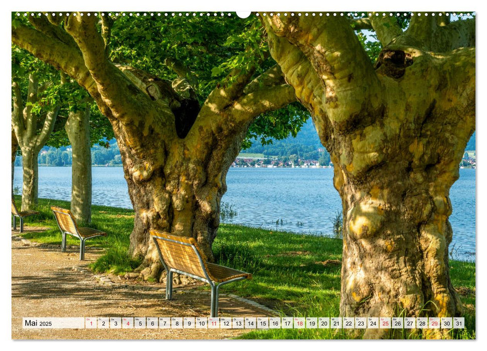 Heimatliebe Bodensee (CALVENDO Premium Wandkalender 2025)