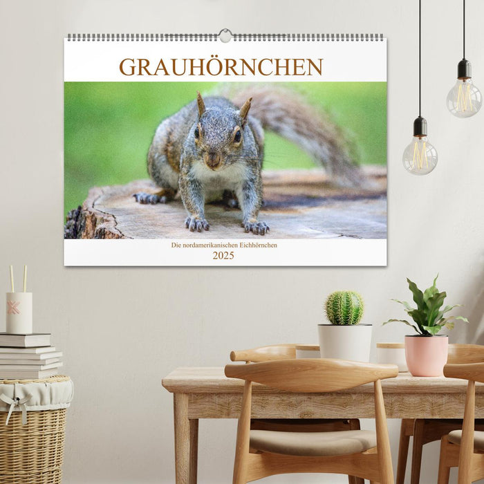 Grauhörnchen-Die nordamerikanischen Eichhörnchen (CALVENDO Wandkalender 2025)