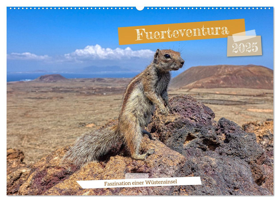 Fuerteventura - Faszination einer Wüsteninsel (CALVENDO Wandkalender 2025)