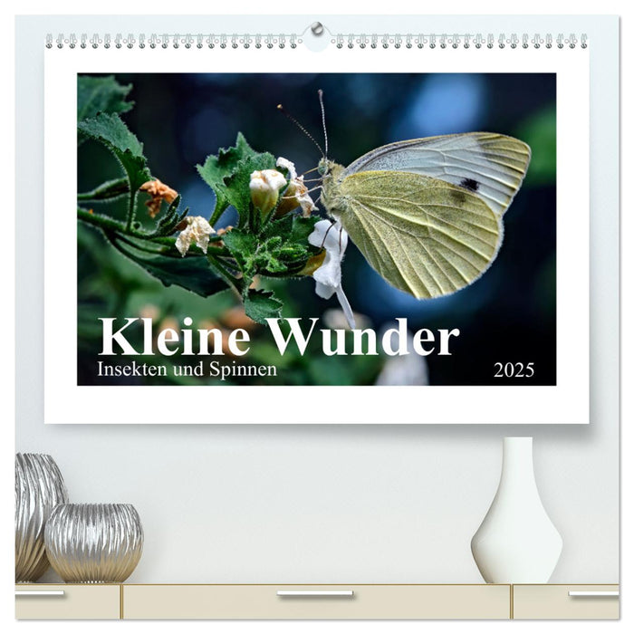 Kleine Wunder - Insekten und Spinnen (CALVENDO Premium Wandkalender 2025)