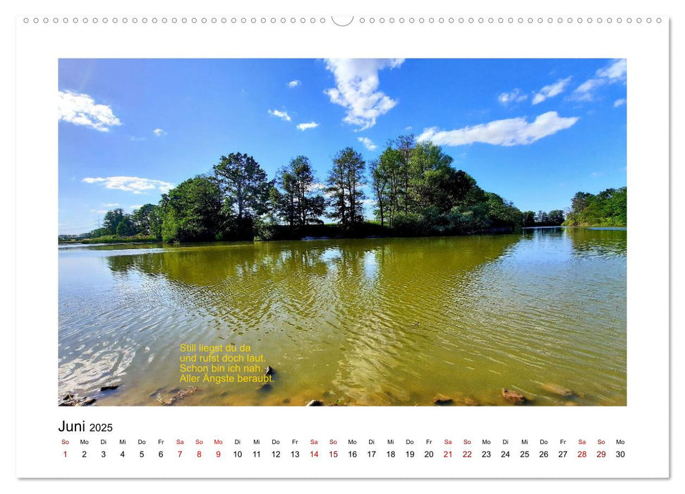 Lyrische Wasserwelt - Poesieflügel unterwegs in Brandenburg (CALVENDO Premium Wandkalender 2025)