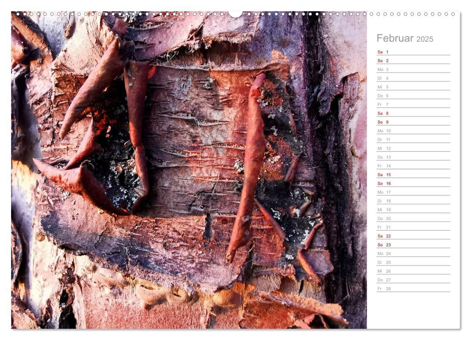 Abstrakte Umwelt (CALVENDO Wandkalender 2025)