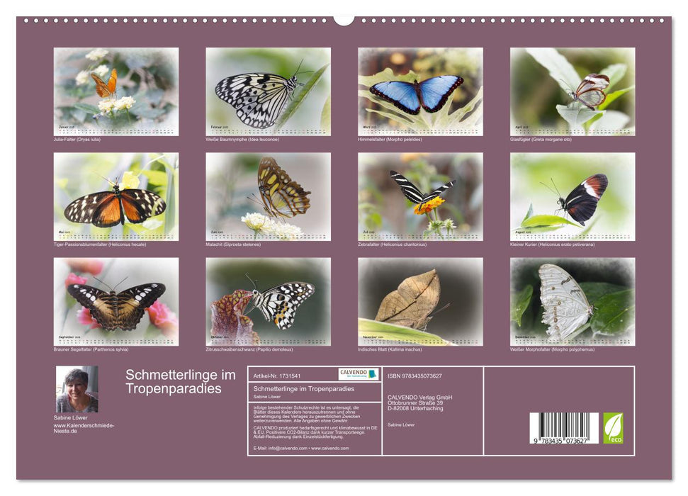 Schmetterlinge im Tropenparadies (CALVENDO Premium Wandkalender 2025)