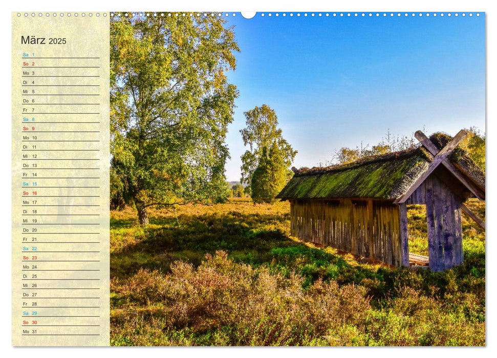 Die Heideblüte (CALVENDO Premium Wandkalender 2025)