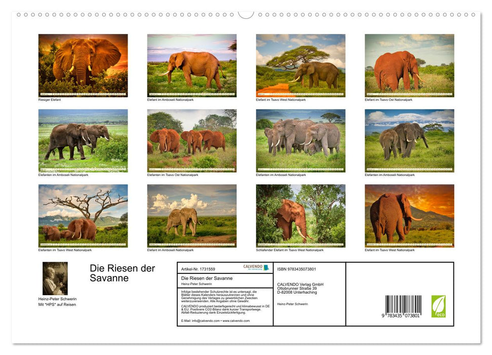 Die Riesen der Savanne (CALVENDO Premium Wandkalender 2025)