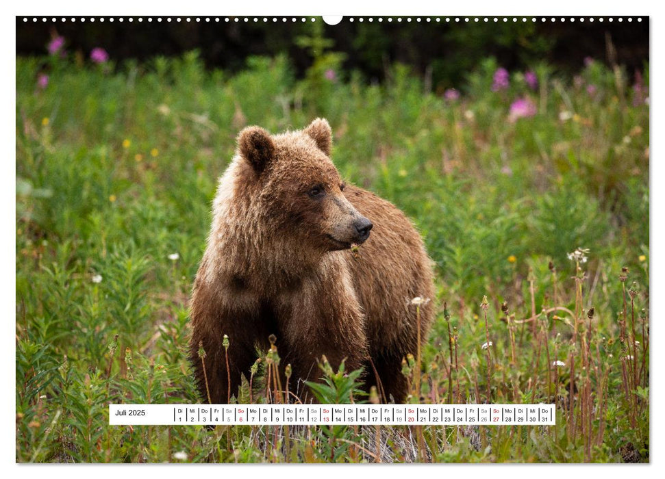 Der mächtige Gizzlybär (CALVENDO Premium Wandkalender 2025)