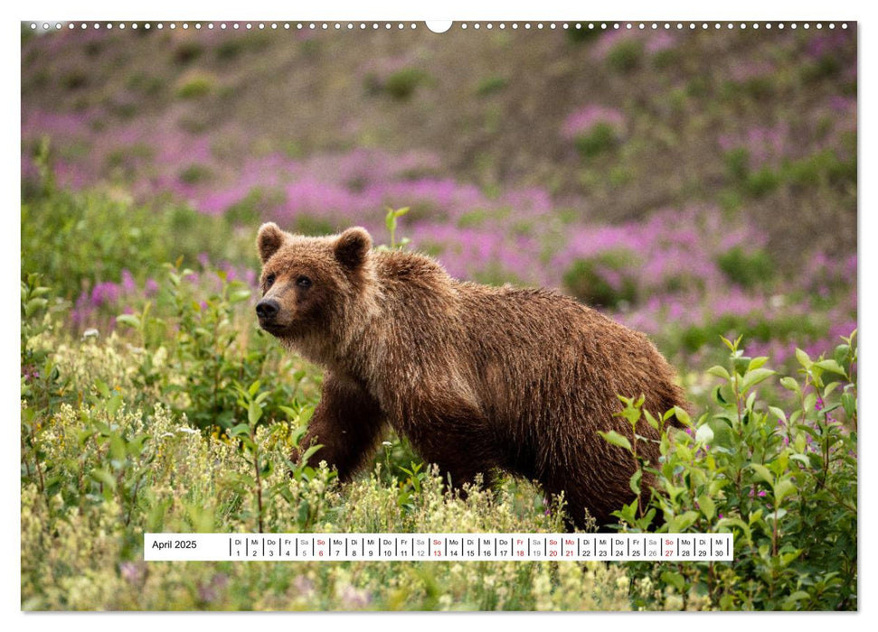 Traumstraße Alaska Highway (CALVENDO Premium Wandkalender 2025)