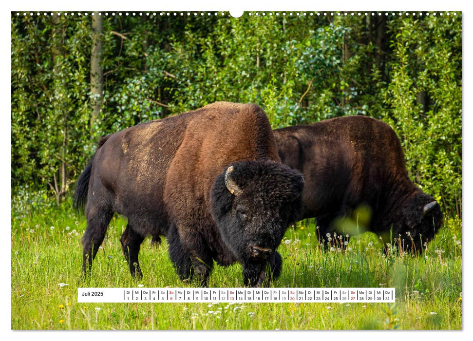 Traumstraße Alaska Highway (CALVENDO Premium Wandkalender 2025)