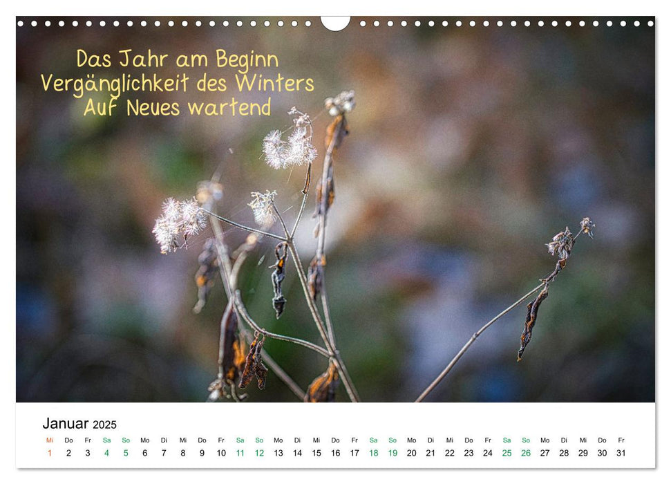 HAIKU, eine fotografische Interpretation (CALVENDO Wandkalender 2025)