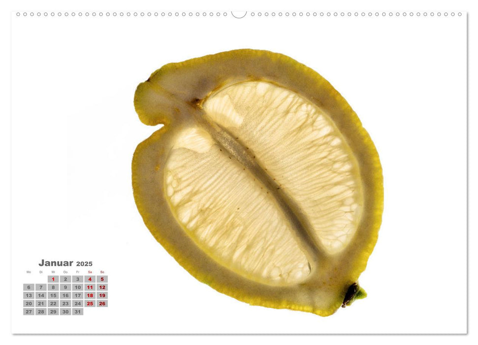 Frisch und gesund. (CALVENDO Premium Wandkalender 2025)