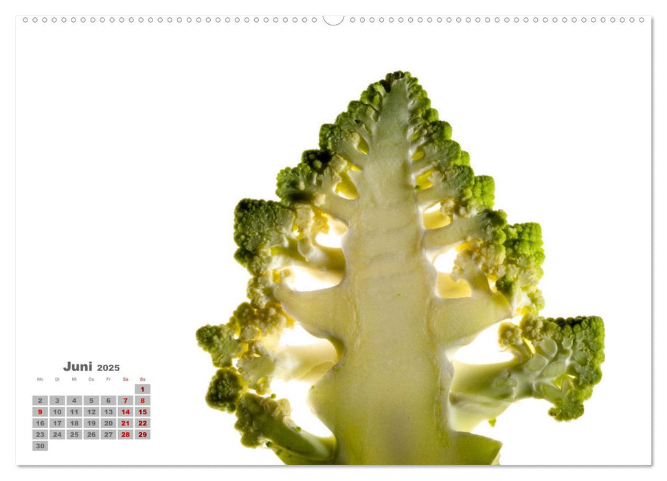 Frisch und gesund. (CALVENDO Premium Wandkalender 2025)