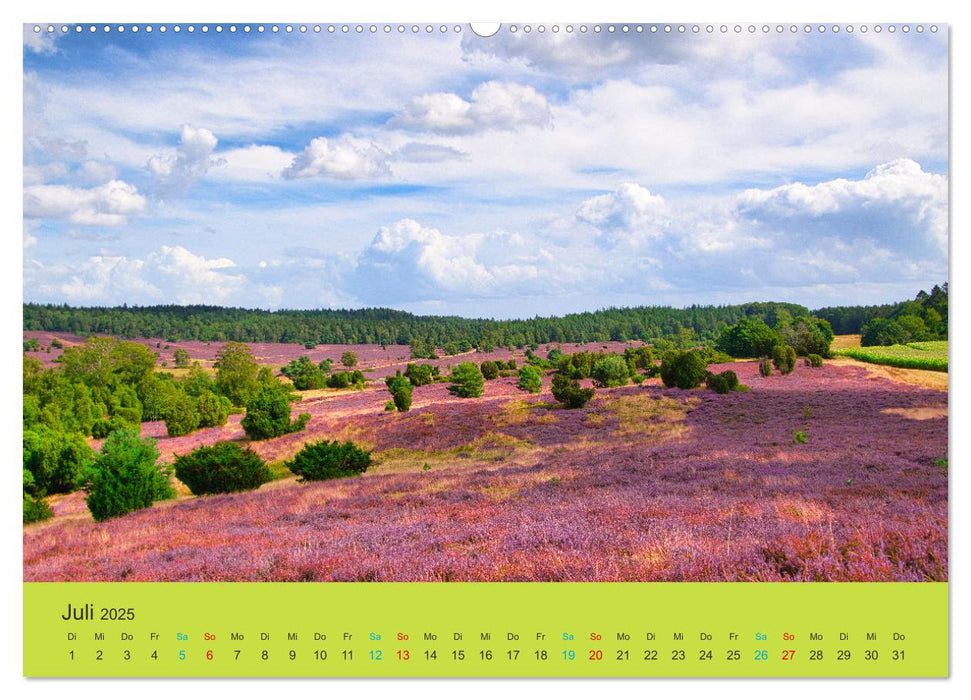 Die Heide blüht (CALVENDO Premium Wandkalender 2025)