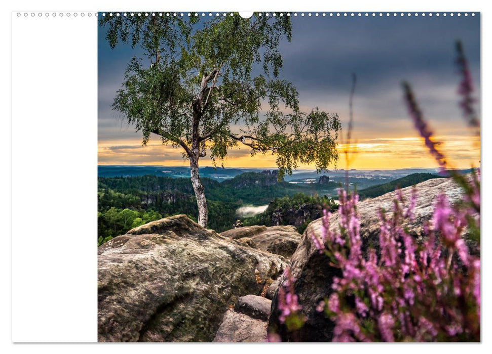 Sächsische Schweiz - Wenn das Gute liegt so nah (CALVENDO Premium Wandkalender 2025)