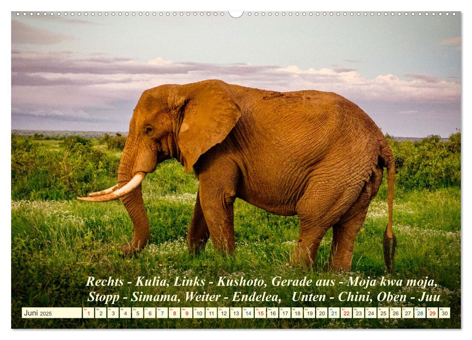 Jambo Kenya (CALVENDO Premium Wandkalender 2025)