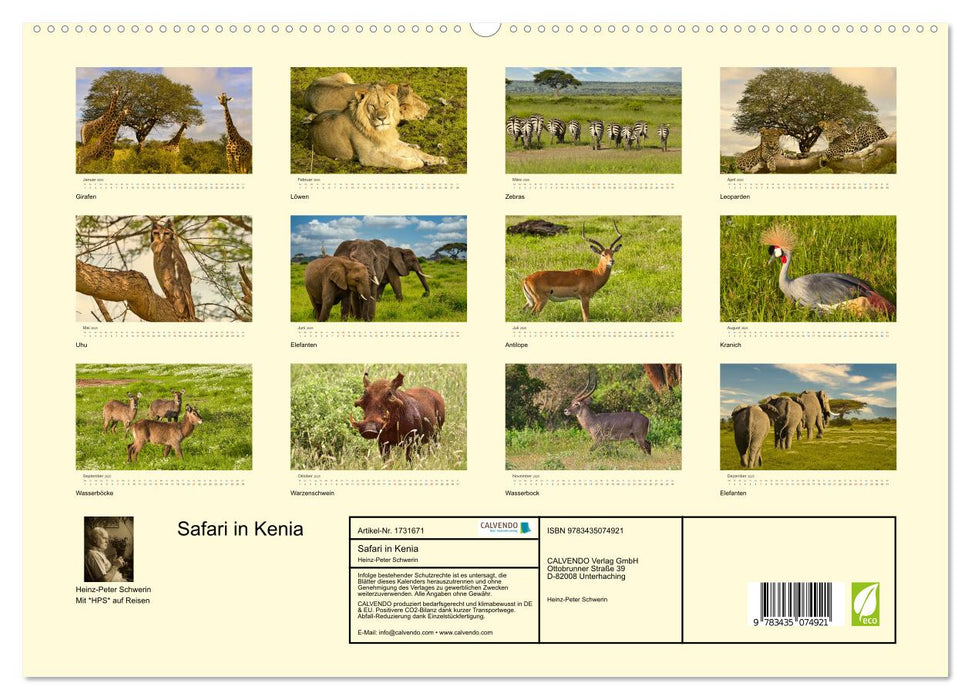 Safari in Kenia (CALVENDO Premium Wandkalender 2025)