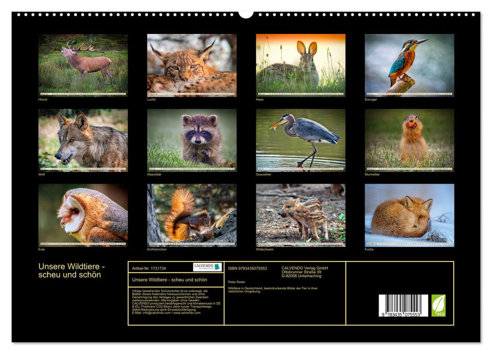 Unsere Wildtiere - scheu und schön (CALVENDO Premium Wandkalender 2025)