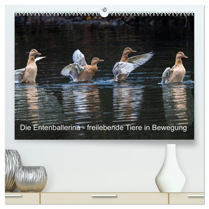 Die Entenballerina - freilebende Tiere in Bewegung (CALVENDO Premium Wandkalender 2025)