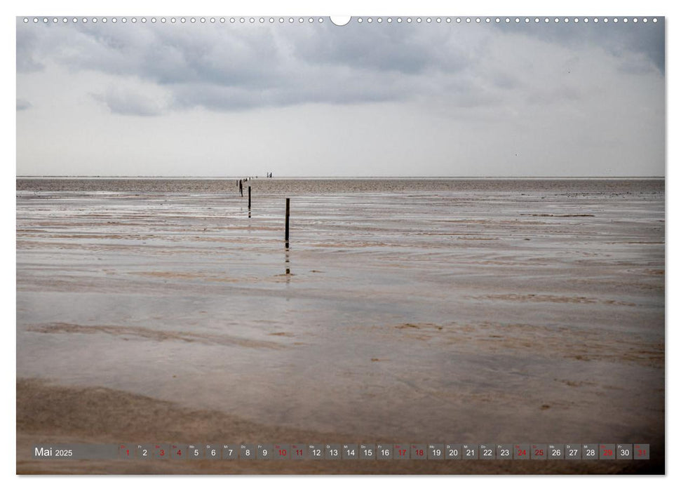 Nordfriesland, Zwischen Sylt und St. Peter Ording (CALVENDO Premium Wandkalender 2025)