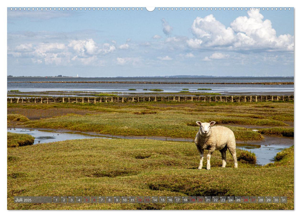 Nordfriesland, Zwischen Sylt und St. Peter Ording (CALVENDO Premium Wandkalender 2025)