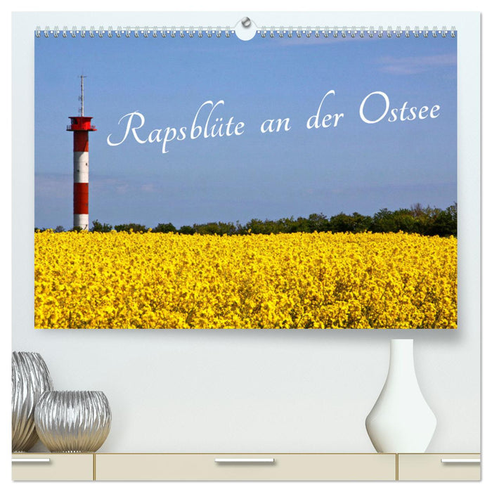 Rapsblüte an der Ostsee (CALVENDO Premium Wandkalender 2025)