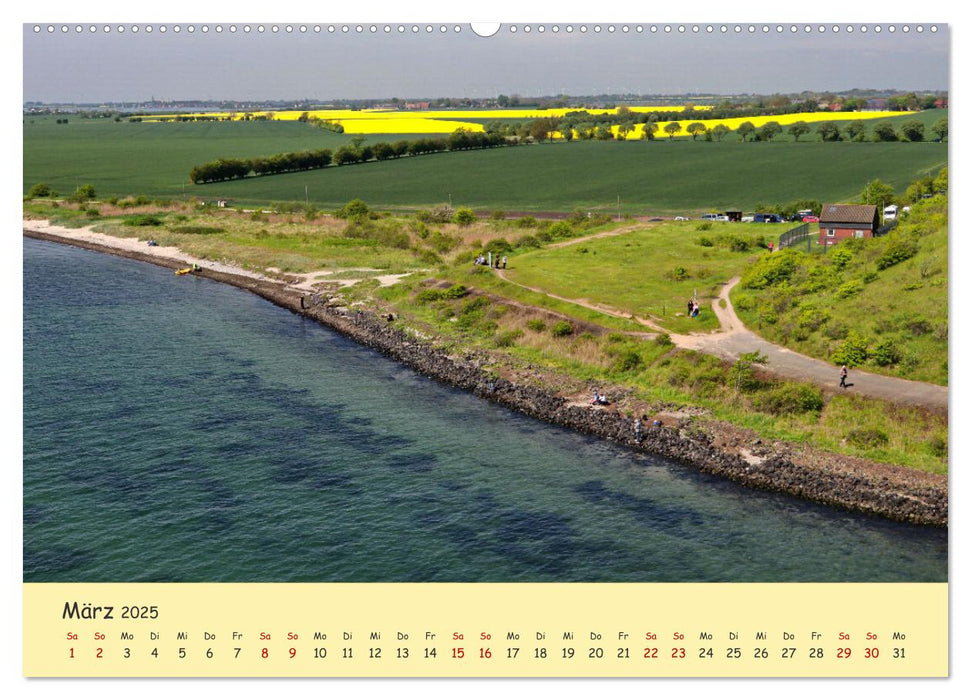 Rapsblüte an der Ostsee (CALVENDO Premium Wandkalender 2025)