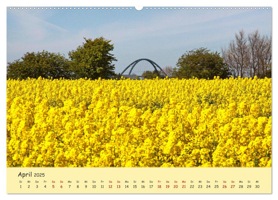 Rapsblüte an der Ostsee (CALVENDO Premium Wandkalender 2025)