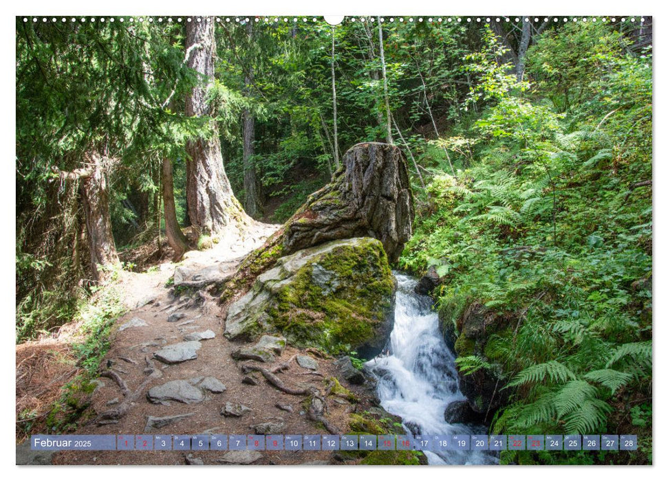 Haute-Nendaz- Im Land der Suonen (CALVENDO Wandkalender 2025)