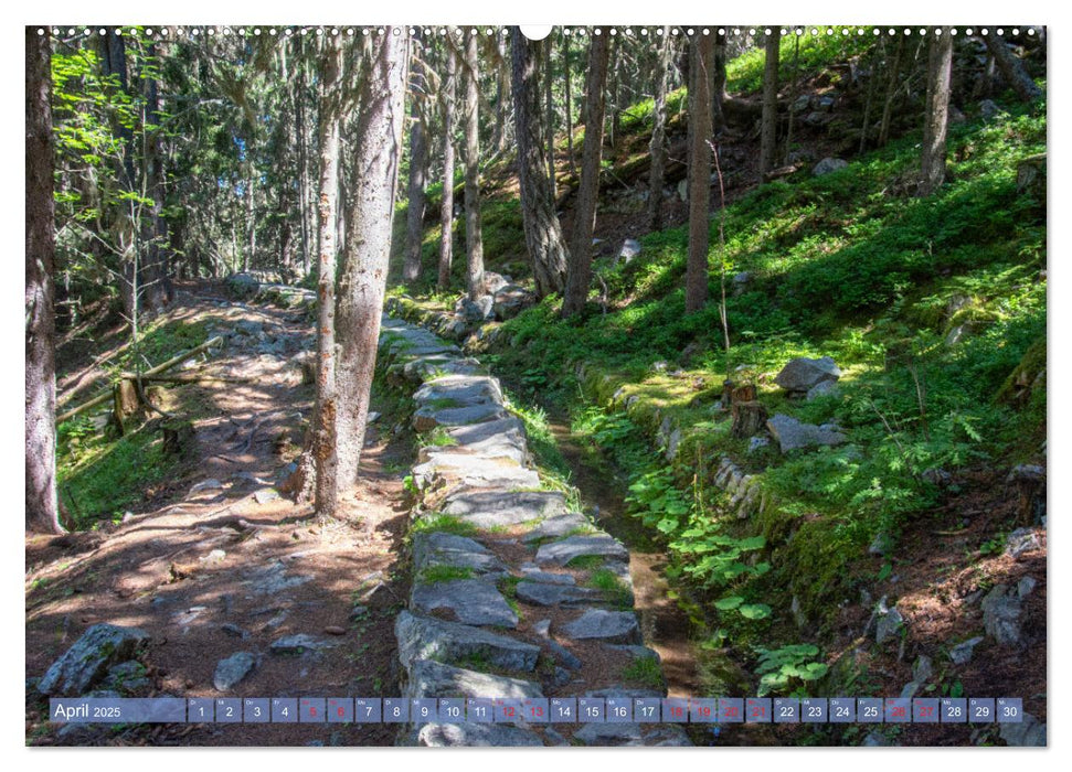 Haute-Nendaz- Im Land der Suonen (CALVENDO Wandkalender 2025)