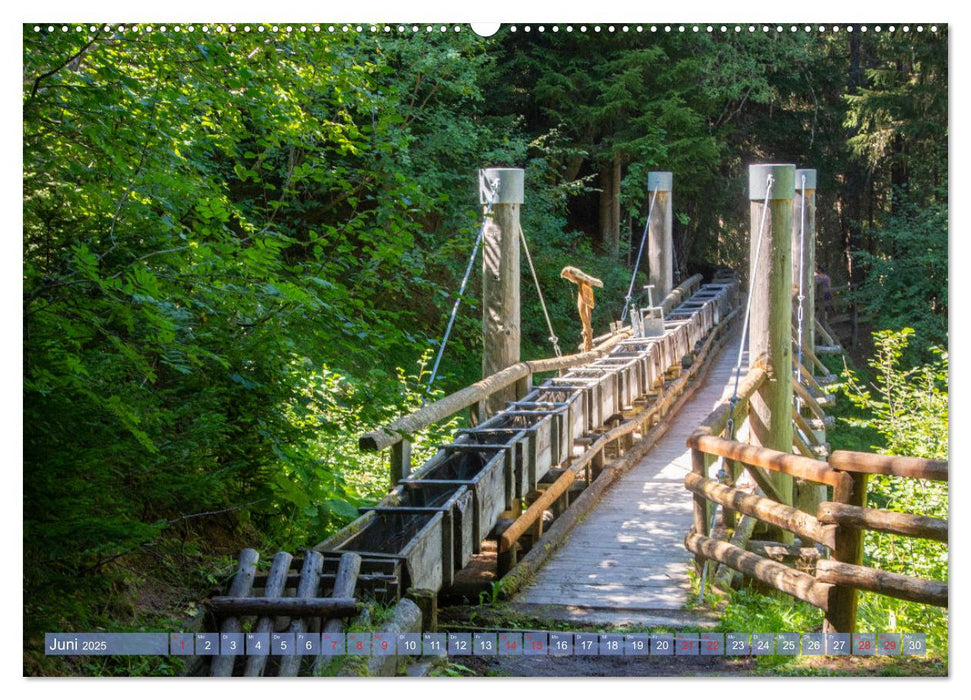 Haute-Nendaz- Im Land der Suonen (CALVENDO Wandkalender 2025)