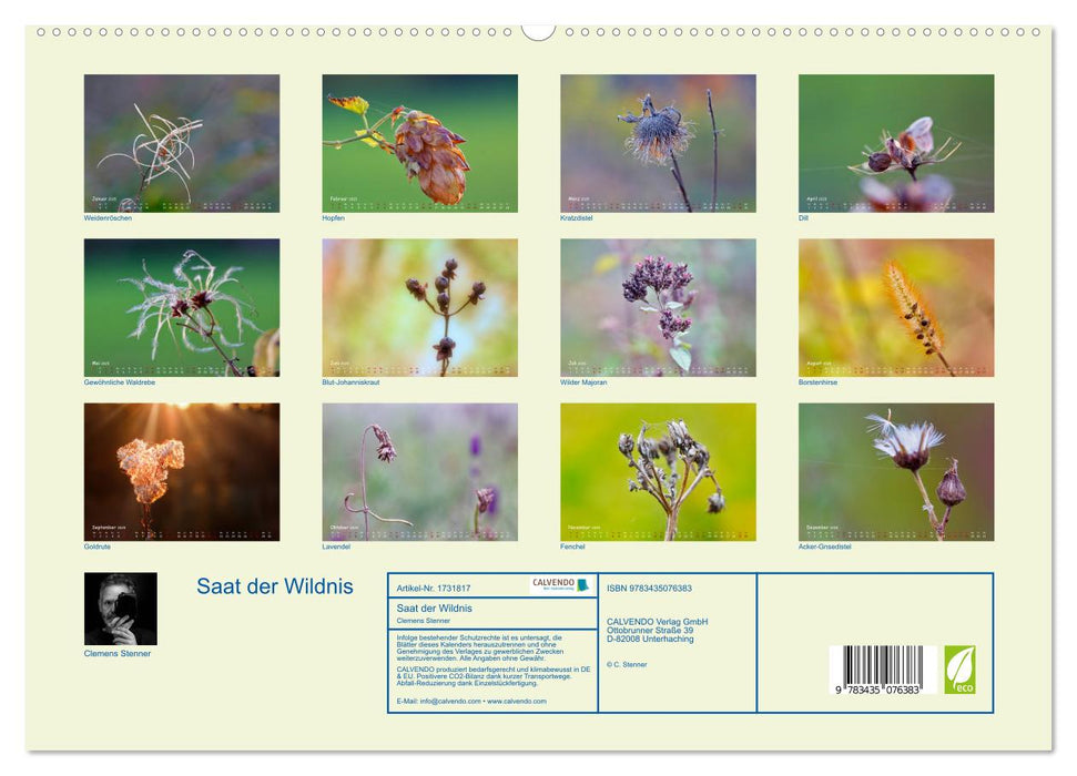 Saat der Wildnis (CALVENDO Premium Wandkalender 2025)