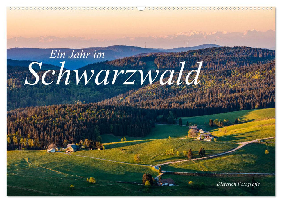 Ein Jahr im Schwarzwald (CALVENDO Wandkalender 2025)