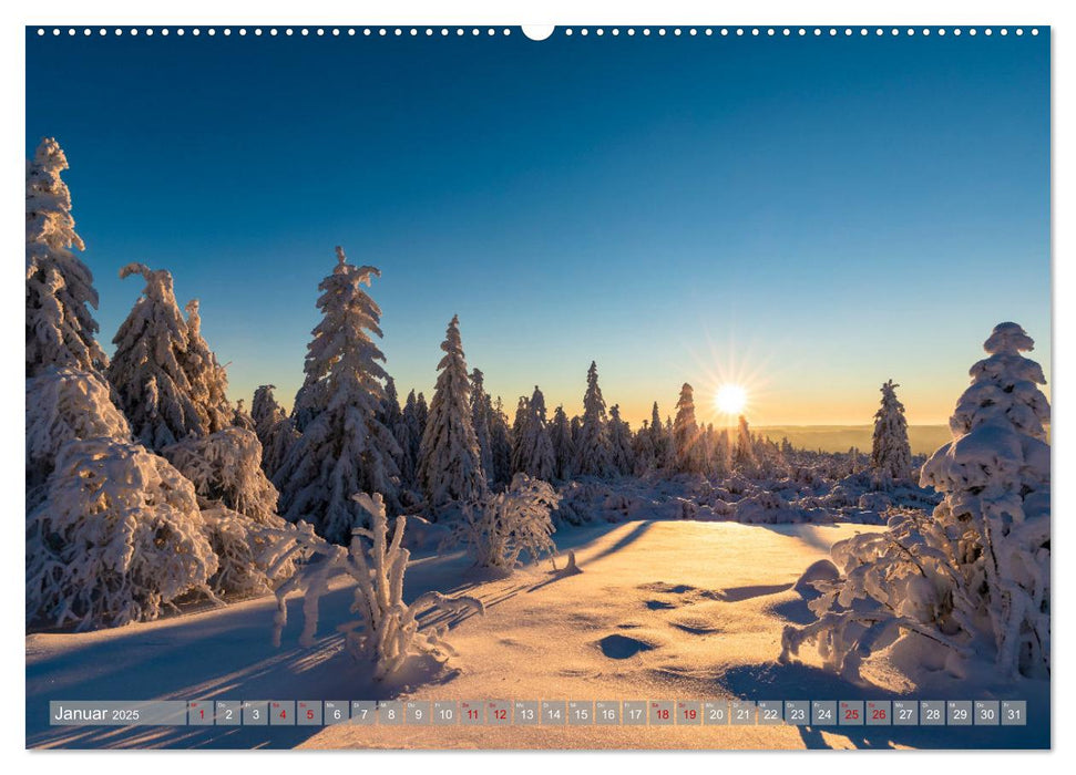 Ein Jahr im Schwarzwald (CALVENDO Wandkalender 2025)