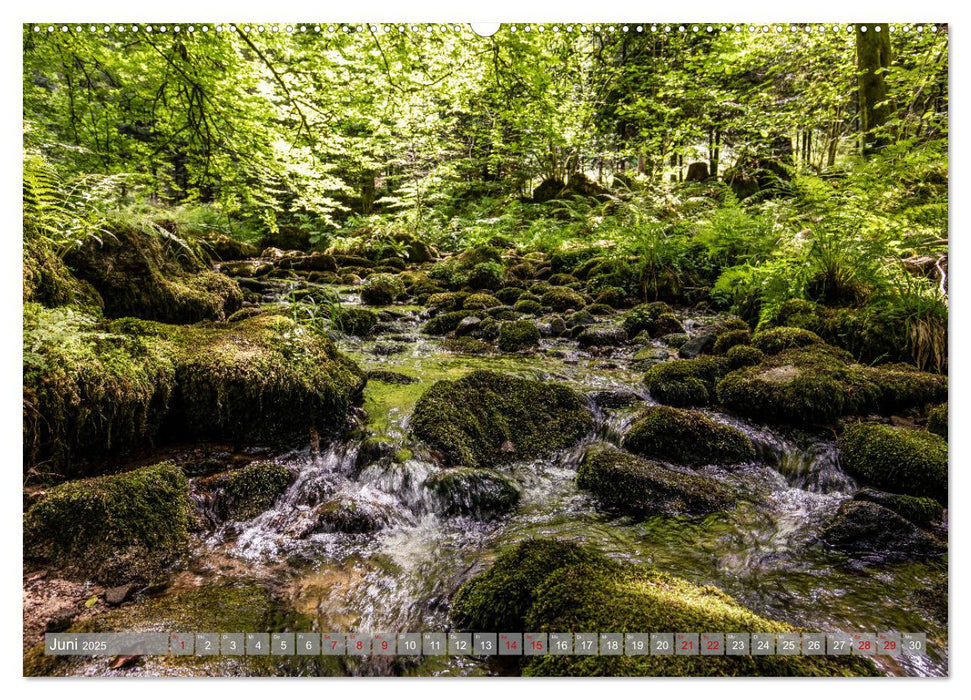 Ein Jahr im Schwarzwald (CALVENDO Wandkalender 2025)