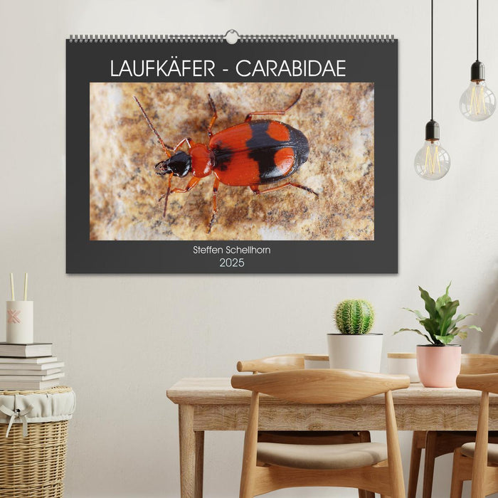 LAUFKÄFER - CARABIDAE (CALVENDO Wandkalender 2025)