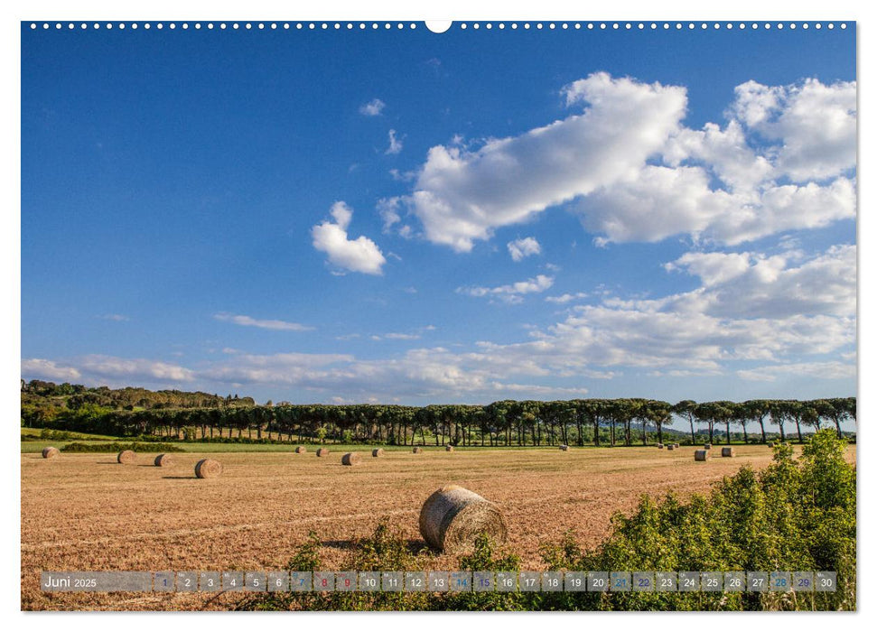 Orte der Maremma (CALVENDO Premium Wandkalender 2025)