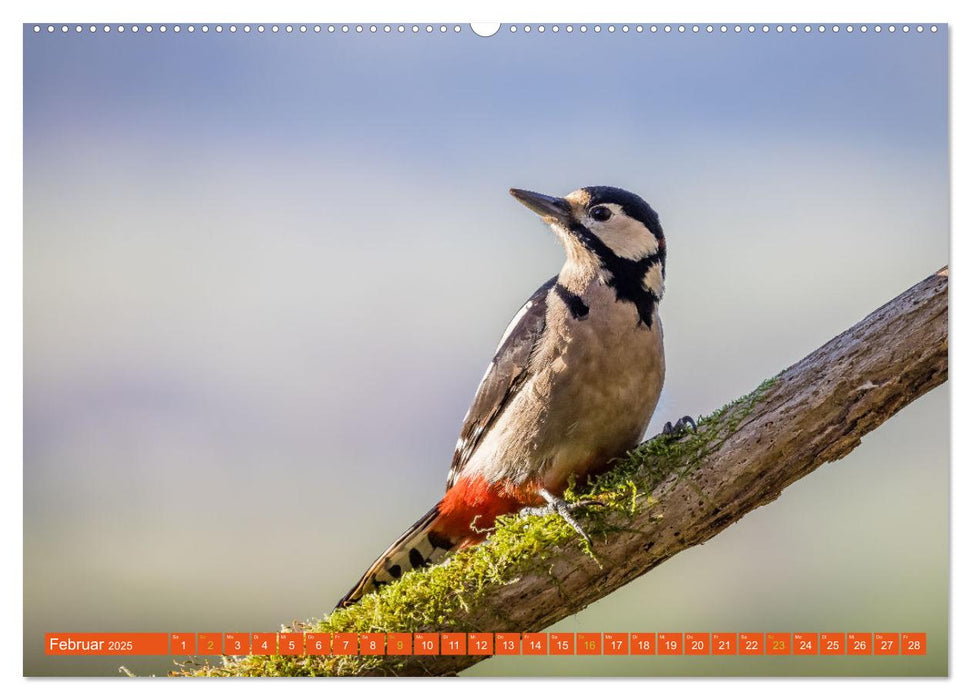 Augenblicke in der Natur (CALVENDO Premium Wandkalender 2025)