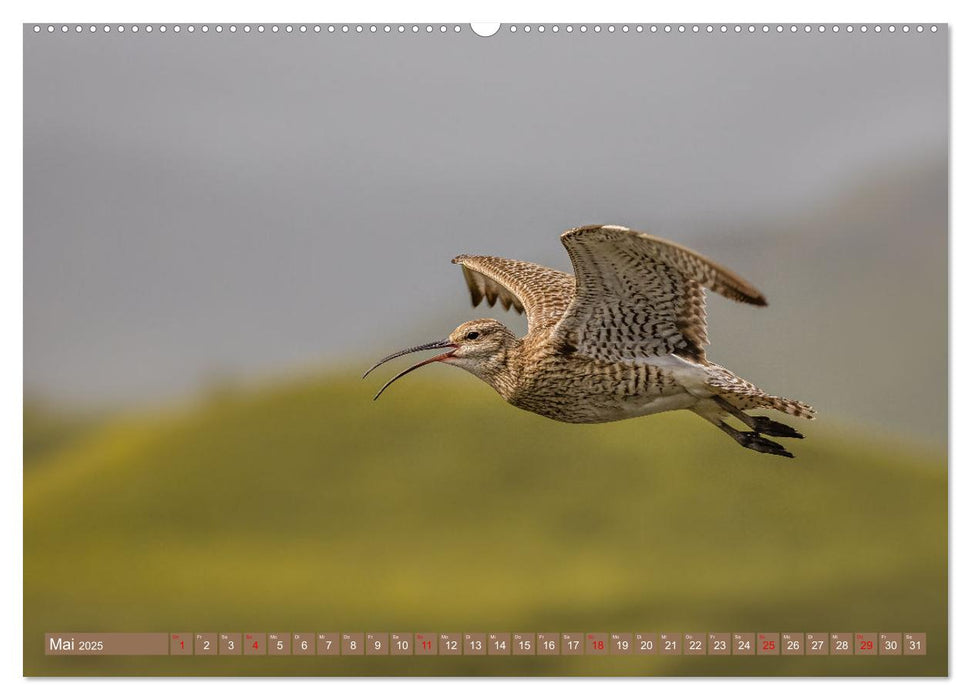 Augenblicke in der Natur (CALVENDO Premium Wandkalender 2025)