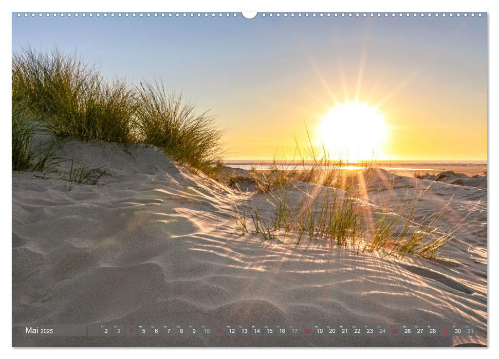 NORDSEE-VERLIEBT (CALVENDO Premium Wandkalender 2025)