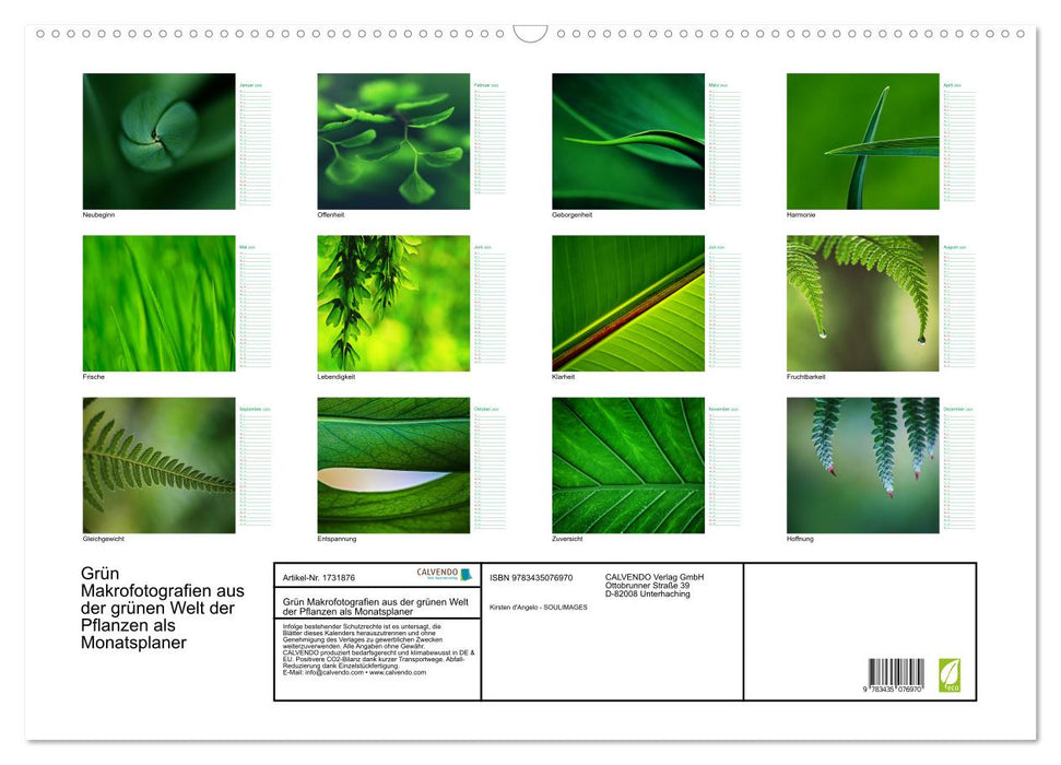 Grün Makrofotografien aus der grünen Welt der Pflanzen als Monatsplaner (CALVENDO Wandkalender 2025)