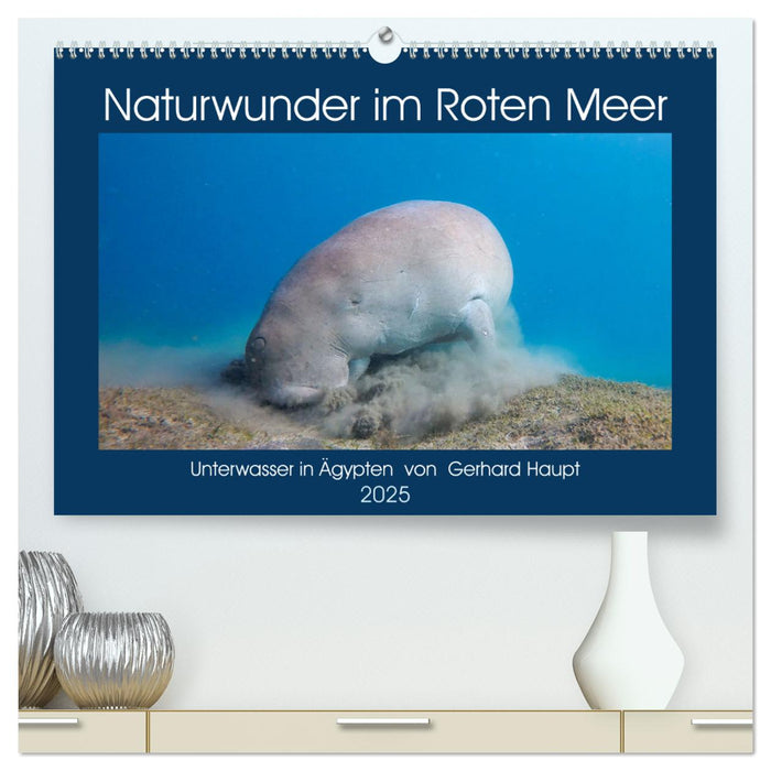 Naturwunder im Roten Meer (CALVENDO Premium Wandkalender 2025)