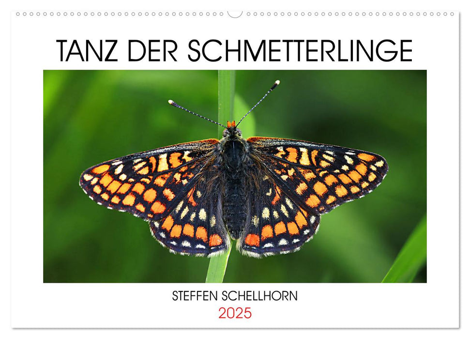 TANZ DER SCHMETTERLINGE (CALVENDO Wandkalender 2025)