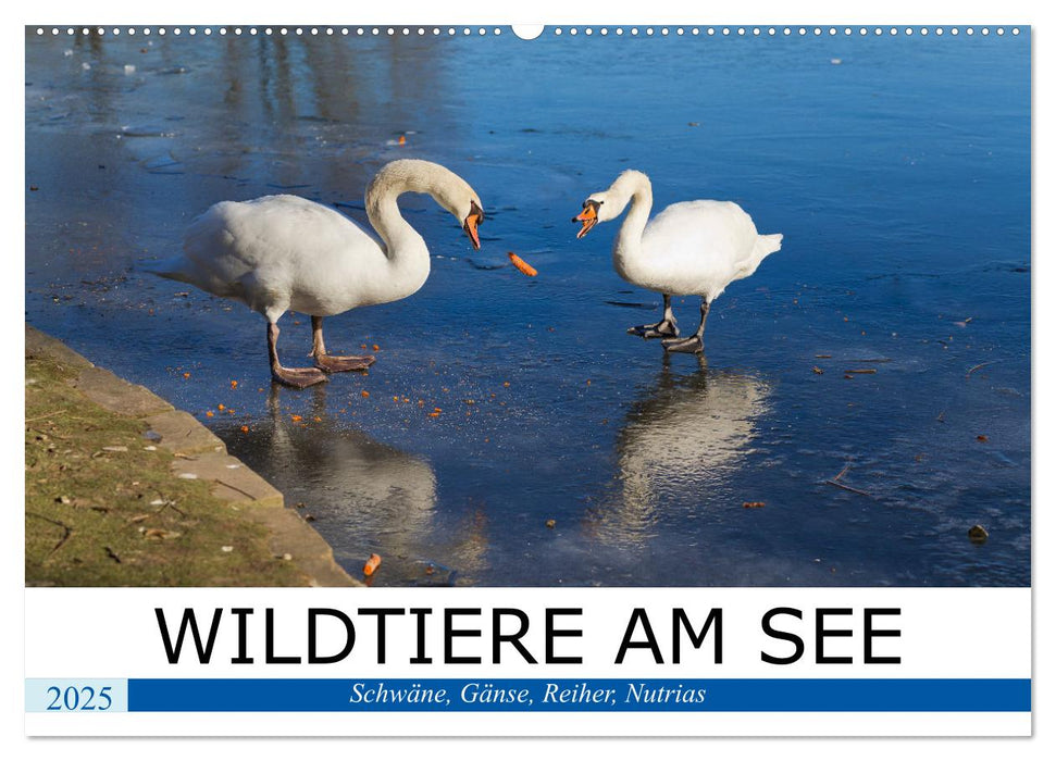 WILDTIERE AM SEE (CALVENDO Wandkalender 2025)