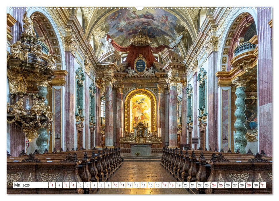 Kirchen in Wien (CALVENDO Premium Wandkalender 2025)