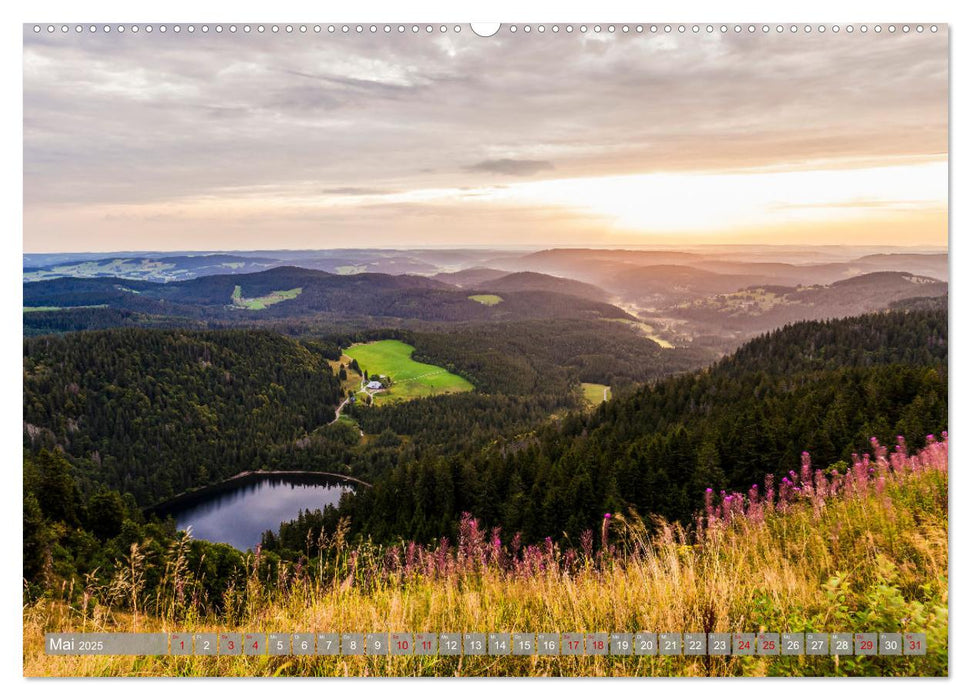 Wunderschönes Baden-Württemberg (CALVENDO Wandkalender 2025)