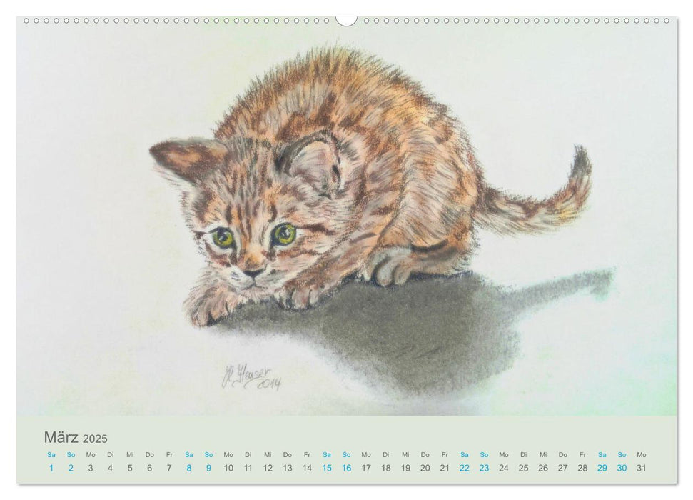 PortraiTierART KATZEN (CALVENDO Premium Wandkalender 2025)